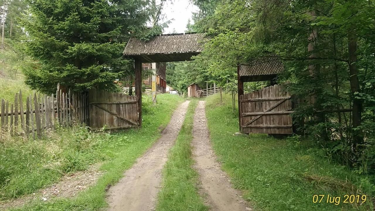 Гостевой дом Izvorul Sanatatii Вама-9
